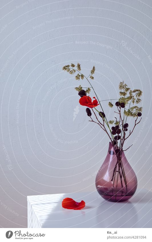 Mohnblume mit Gräsern und Zapfen in lilaner Glasvase Blickfang einzeln Naturliebe moody detail Schönheit in der Natur Muster Blume Frühling Frühlingsblume