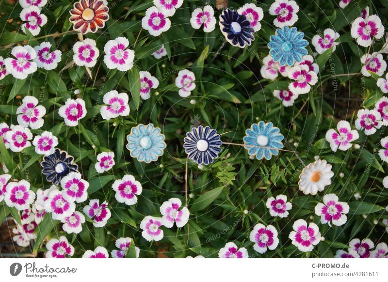 Blumen – echte und handgemachte Garten Beet Blütenblatt weiß pink grün Kunsthandwerk Keramik keramikblume zart