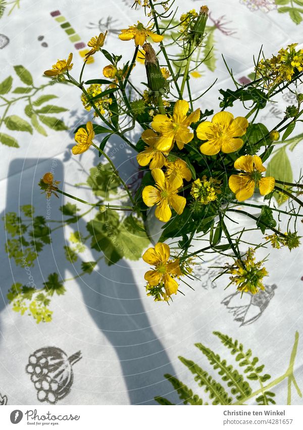 Gelbe Blümchen fotografieren im Sonnenschein. Schatten von Smartphone und Hand Blumenstrauß Smartphonefotografie Licht und Schatten Handy Arm Vogelperspektive