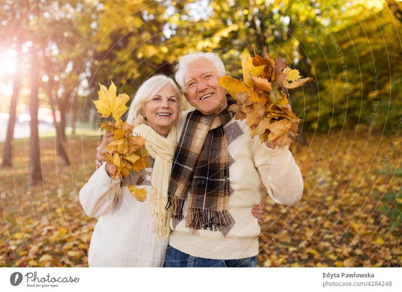 Älteres Paar umarmt im Herbst Park Familie Frau Liebe Menschen im Freien Porträt Zusammensein Natur zwei schön fallen Bäume gelb Senior reif Senioren Rentnerin
