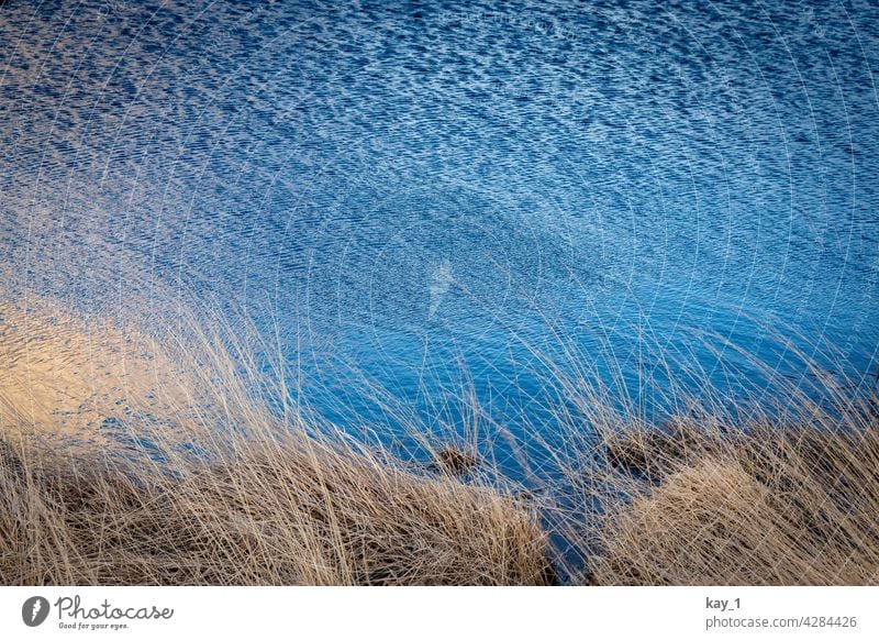 Ufer mit Himmelsreflektion im Wasser und sich kräuselnden Wellen Strukturen & Formen Textur See Natur Muster Umwelt blau Reflexion & Spiegelung abstrakt Teich