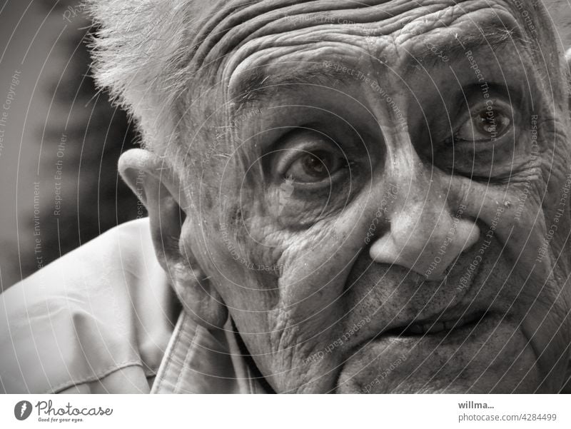 Hochbetagt und geistig fit Greis Porträt Runzeln Falten Gesicht erzählen Lebenserfahrung hochbetagt sw fragen sorgenvoll Alter Rentner 80 85 90 Hoffnung Glaube