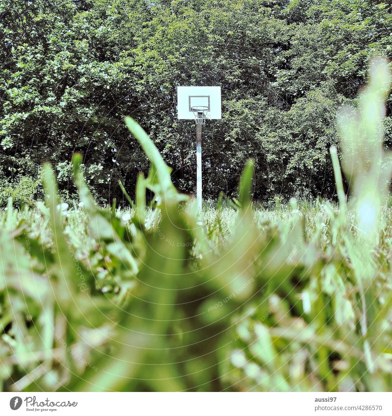 Non-urban court Jungle Court Basketball Korb Netz Pflanzen Wald Grün Klima Klimawandel