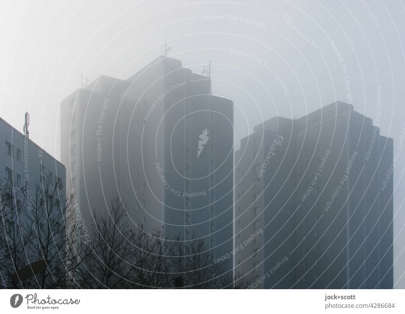 Hochgeschosser im Nebel Wohnhochhaus Architektur trist Strukturen & Formen kahle Bäume Fassade Silhouette Marzahn Berlin Himmel DDR authentisch Lichterscheinung