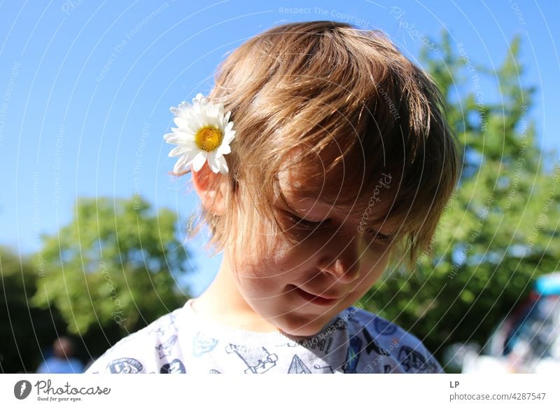 Kind trägt ein Gänseblümchen im Haar Stil Design Muttertag Mensch Gefühle Blume Farbfoto Blüte Frühling Eltern Natur Kontrast Hintergrund neutral