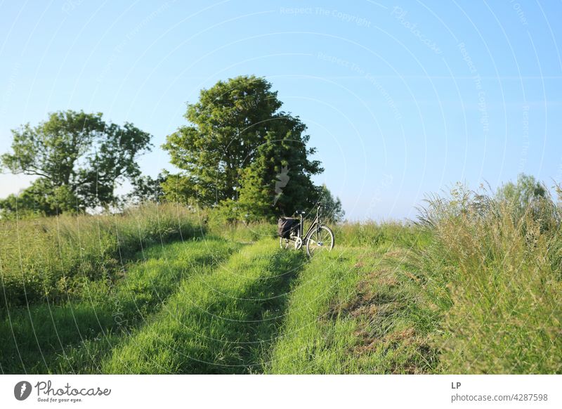 Landschaft mit Bäumen und Fahrrad einfach Wohlgefühl Fahrradfahren Freizeit & Hobby Fröhlichkeit gebrochen Fahrradreifen Aktivität Lifestyle authentisch