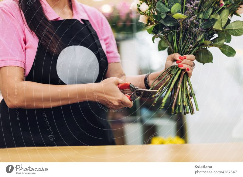 Ein professioneller weiblicher Florist in einer Schürze schneidet den Stiel der Blumen mit einer Schere am Tisch. Das Konzept der Arbeit mit Blumen, Blumengeschäft.