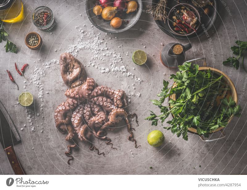 Kochen von Meeresfrüchten . Roher Oktopus mit natürlichen Zutaten: Gewürze, frische Kräuter und Messer. Kochvorbereitung auf grauem Betonhintergrund. Gesunder und natürlicher Lebensstil. Ansicht von oben