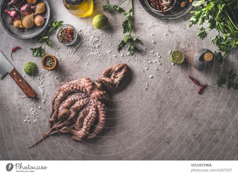 Kochen Vorbereitung von Octopus mit frischen Zutaten und Küchengeräte, Kräuter, Kalk, Zwiebel, Salz, Gewürze. Frische Lebensmittel Konzept auf dunklem Beton Hintergrund. Ansicht von oben