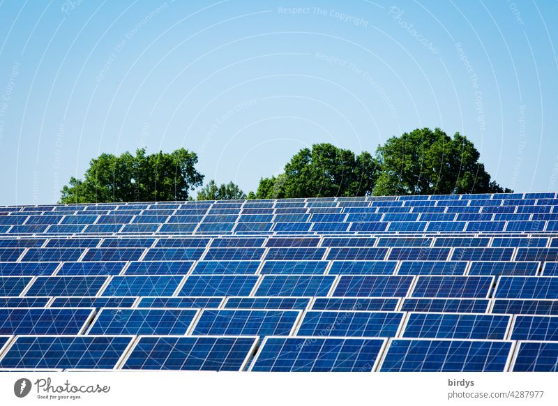 Solarpark und Bäume. Vorrangig regenerative Energien fördern. Solarförderung. PV-Großanlage Photovoltaik Solarenergie Photovoltaikanlage Erneuerbare Energie