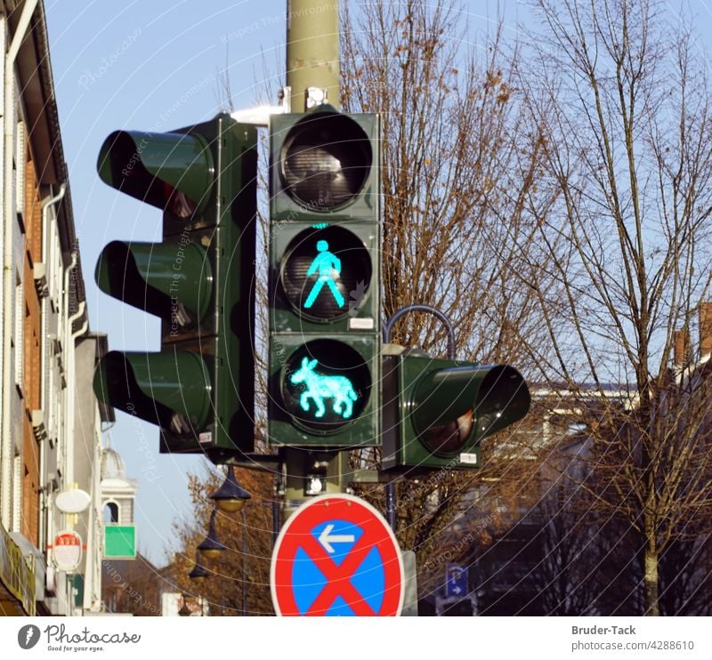 Grüne Esel-Ampel in Wesel Esel Ampel grüne Ampel grünsignal Eselampel ampelphase grünphase Esel-motiv Verkehr Verkehrszeichen Straßenverkehr Straßenkreuzung