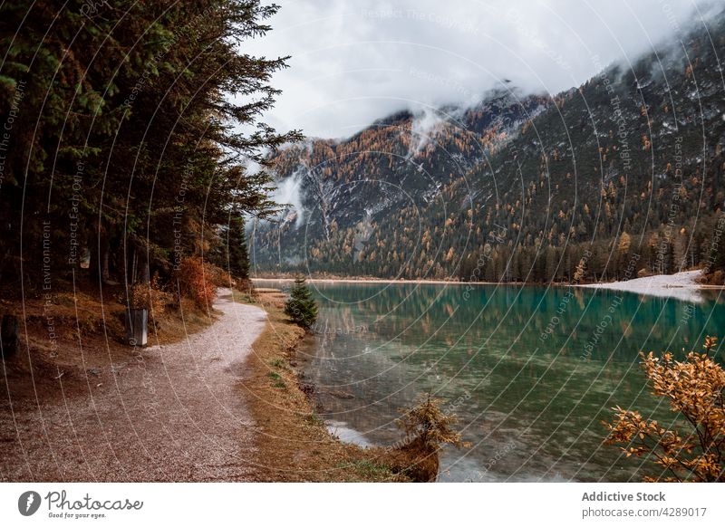 Nebliger Tag auf dem See Wald Reflexion & Spiegelung Landschaft reisen Natur national Nebel Park neblig yoho Hafengebiet Berge u. Gebirge Banff Morgen im Freien