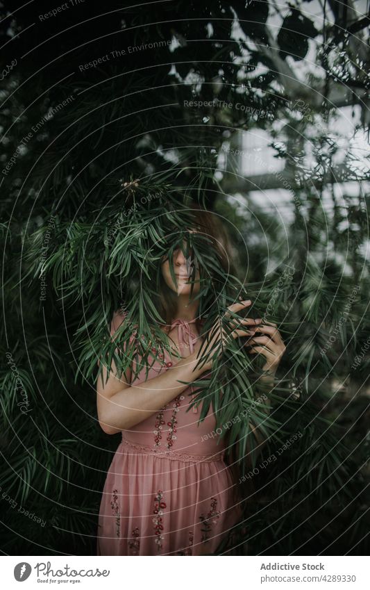 Junge Frau bedeckt Gesicht mit Zweig Laubwerk Deckblatt üppig (Wuchs) Pflanze vegetieren Ast Gewächshaus Tierhaut Garten Baum Blatt wachsen lassen Botanik