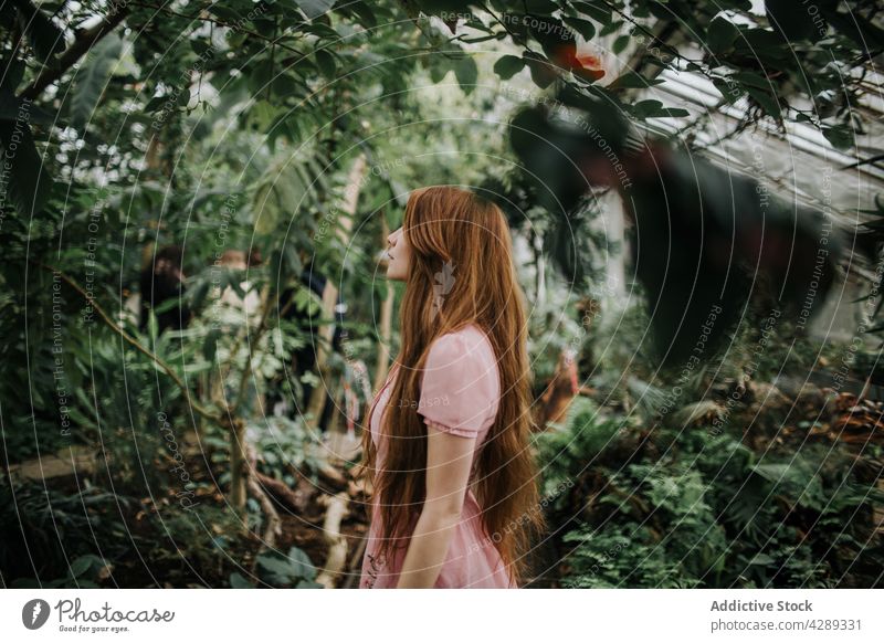 Junge Frau steht zwischen üppigen Pflanzen im Gewächshaus tropisch Handfläche exotisch Garten vegetieren kultivieren Laubwerk Buchse üppig (Wuchs) jung Wachstum