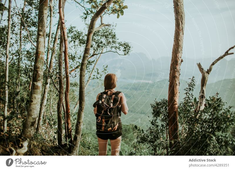 Gesichtslose Frau mit Rucksack steht über einem Wald Backpacker Wanderer Dschungel Baum reisen Natur Reise erkunden Reisender grün Pflanze vegetieren Abenteuer
