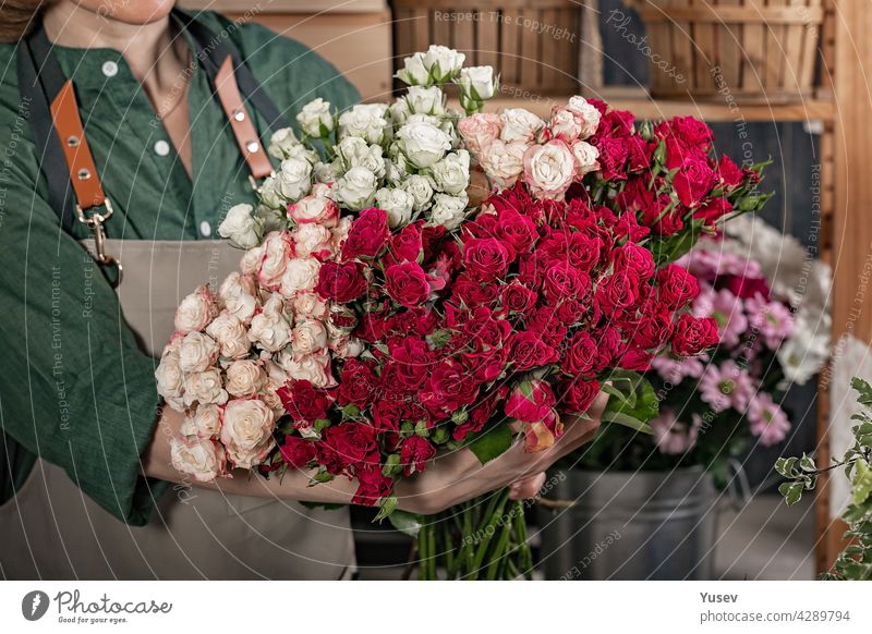 Frau Florist hält einen großen Blumenstrauß von Rosen. Florist Arbeitsplatz. Kleines Geschäftskonzept. Geschäft für Blumen und Zubehör. Nahaufnahme schön