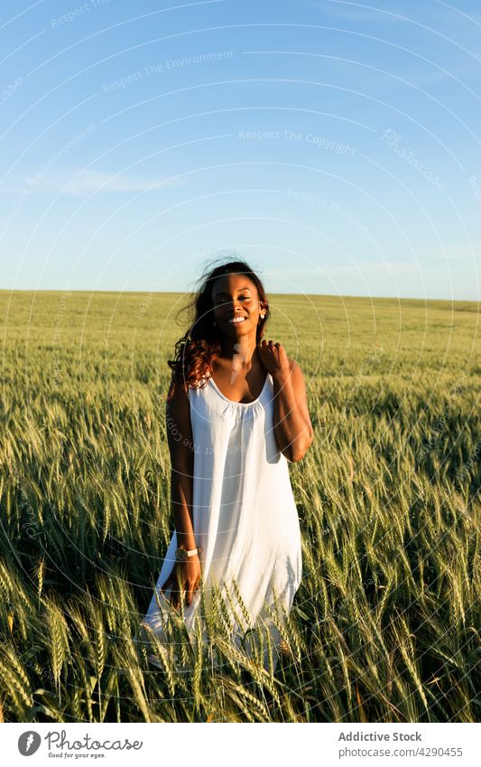 Afroamerikanische Frau im Kleid geht auf einer Wiese Weizen Feld Gras Lächeln Landschaft Harmonie Windstille allein Blauer Himmel Flora schwarz Afroamerikaner