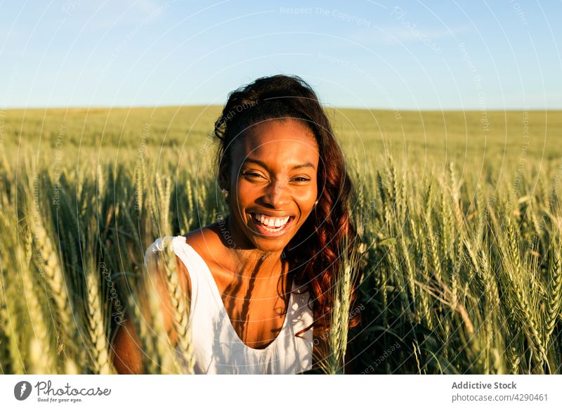 Afroamerikanische Frau im Kleid geht auf einer Wiese Weizen Feld Gras Landschaft Harmonie Windstille allein Blauer Himmel Flora schwarz Afroamerikaner jung