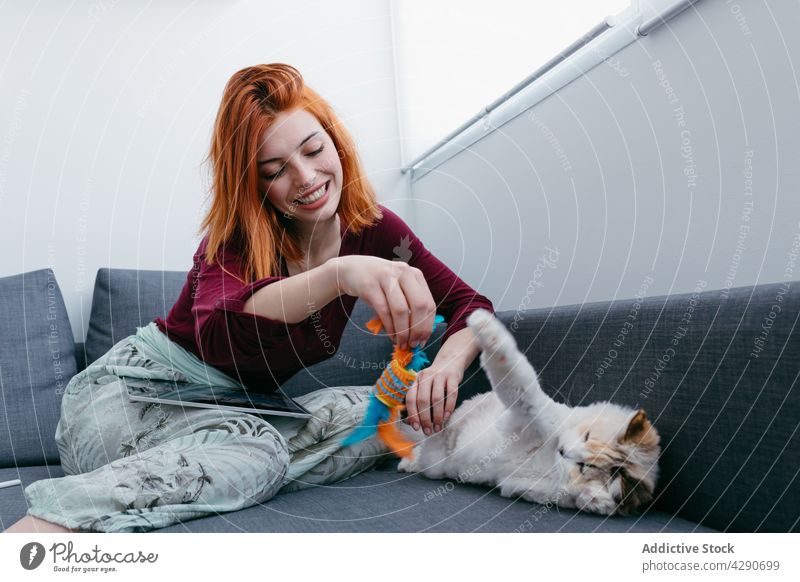 Lächelnde Frau spielt mit süßer Katze auf dem Sofa im Haus spielen Spielzeug katzenhaft Tier Haustier Zeitvertreib heimwärts Spaß haben charmant genießen Liege