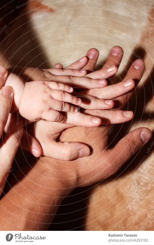 Hände von Papa, Mama und ihren Kindern Eltern Liebe Hand Pflege Mutter wenig Vater Familie Säugling Schutz Kindheit Menschen Mädchen jung Beteiligung Baby