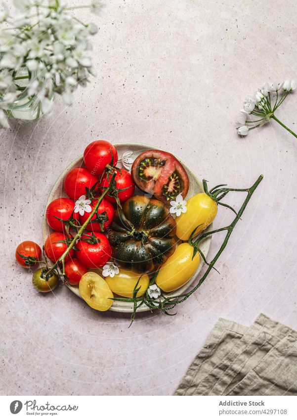 Gesunder Tomatensalat auf grauem Betontisch Salatbeilage Teller Bestandteil dienen Mittagessen Gesundheit Lebensmittel Gemüse Mahlzeit Speise Vegetarier