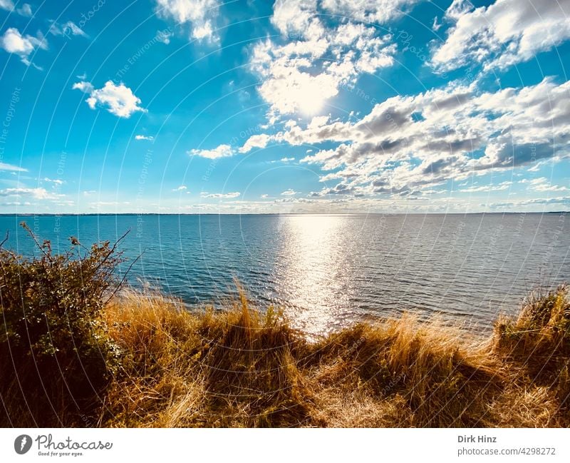 Blick von einer dänischen Insel auf die Ostsee Meerblick Ferien & Urlaub & Reisen Tourismus Küste Landschaft Sommer Horizont Himmel Außenaufnahme Menschenleer