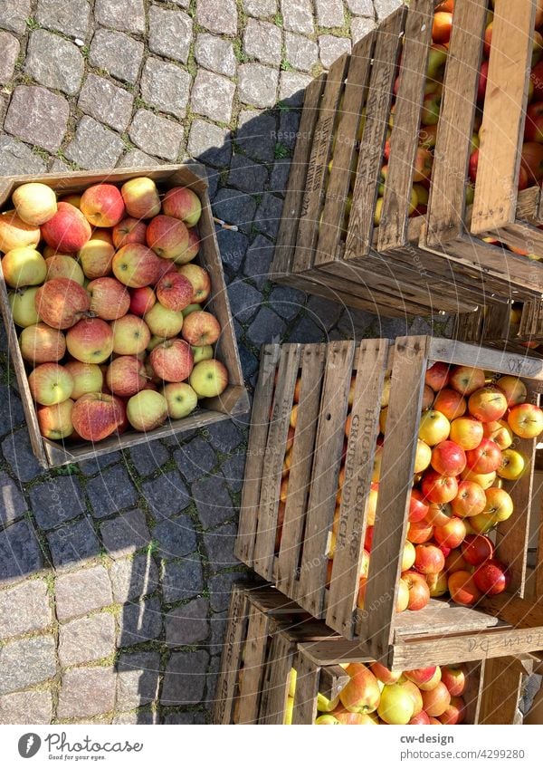 grün gelb rot | Markt in Bremen Jahrmarkt Frischemarkt Obst Obststiege Apfel Apfelernte Kiste voll Äpfel Frucht Lebensmittel Ernährung Bioprodukte frisch
