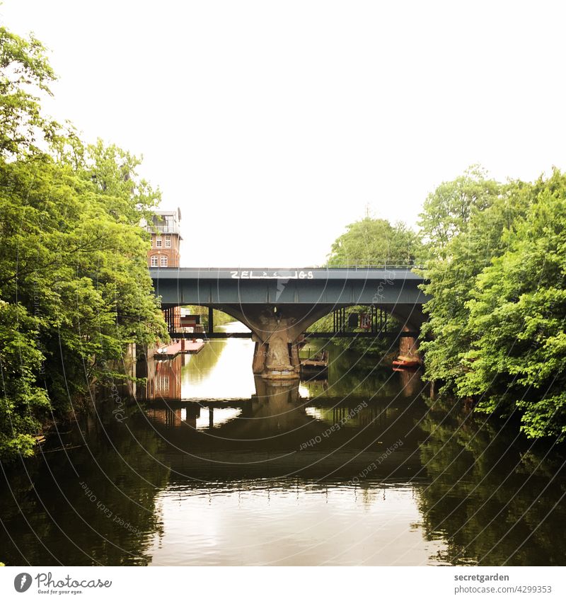 Eine Brücke schlagen Fleet Fluss Wasser Hamburg Architektur Sommer Kanal Bauwerk Reflexion & Spiegelung Deutschland grün Bäume Rundung Farbfoto Himmel