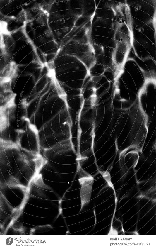 Wasser und Licht analog Analogfoto sw Schwarzweißfoto schwarzweiß Reflexion Lichtreflexion Muster abstrakt Außenaufnahme Natur nass