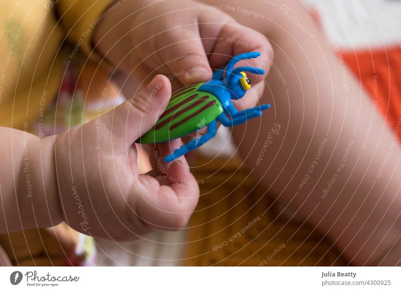 Kleinkind spielt mit einem bunten Plastikkäfer Spielzeug; mit den Händen zu manipulieren kleines Objekt Entwicklungs Meilenstein ein Jahr alt Kind Baby jung