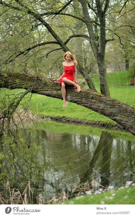rot auf grün Mensch feminin Junge Frau Jugendliche 1 18-30 Jahre Erwachsene Natur Frühling Sommer Baum Park Wald Moor Sumpf Teich See Kleid blond schön Klettern