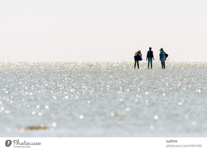 3 Personen bei auflaufendem Wasser im Watt Wattenmeer Wattwanderung ebbe und flut Flut auflaufendes Wasser Nordseeküste glizernd seichtes Wasser Seichtwasser