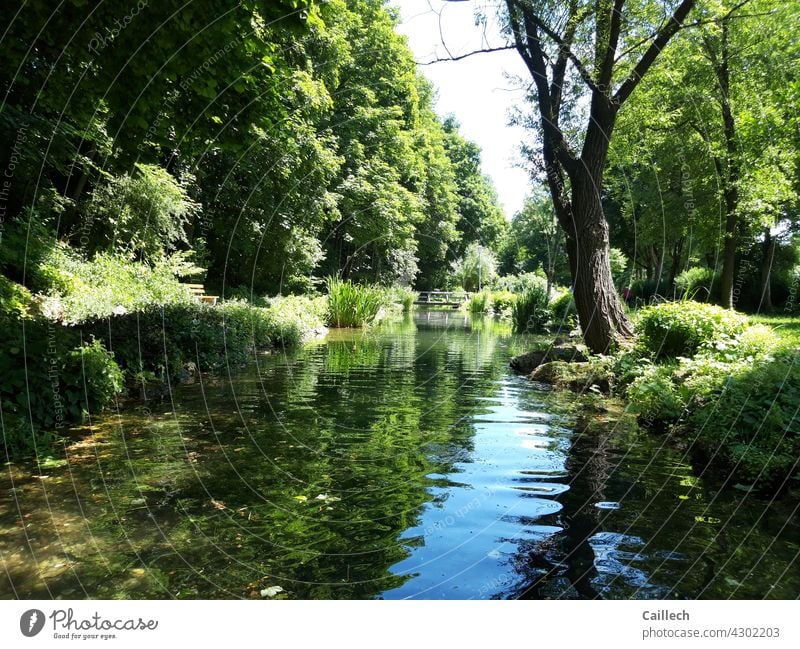 Idyllischer Teich in einem ruhigen Park Idylle Sommer Freiheit freizeit Ruhe Harmonie friedlich Frieden Bäume blau grün weite Wetter Außenaufnahme Farbfoto