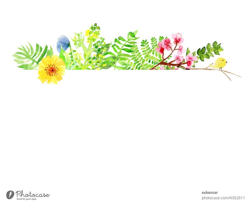 Blumen Aquarell mit Textfreiraum Einladung Rahmen Hintergrund weiß weißer Hintergrund Sommer Hochzeit Natur Karte Einladungskarte Blüte Kirschblüten Farn Vogel