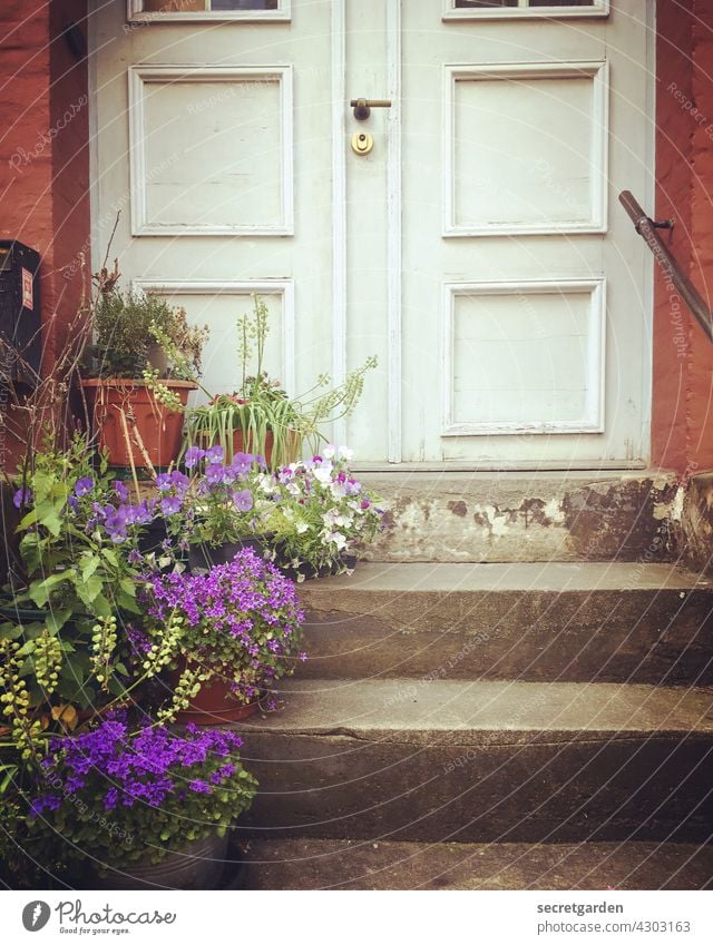 Farbcontest | stufenweise zum Sommer Treppe Stufen aufwärts Tür Eingang Eingangstür Blumen Blumentopf gemütlich zuhause Altbau vintage Menschenleer Haus Wand