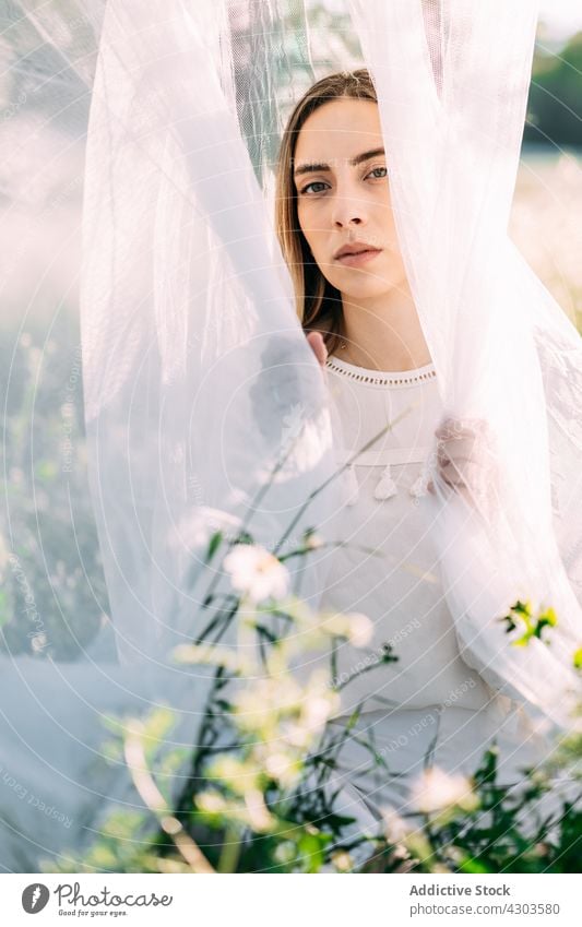 Zarte Frau mit weißem Schleier auf einem Feld Imkerschleier Natur rein weißes Kleid Windstille charmant Angebot Blume Sommer Wiese sanft idyllisch Landschaft
