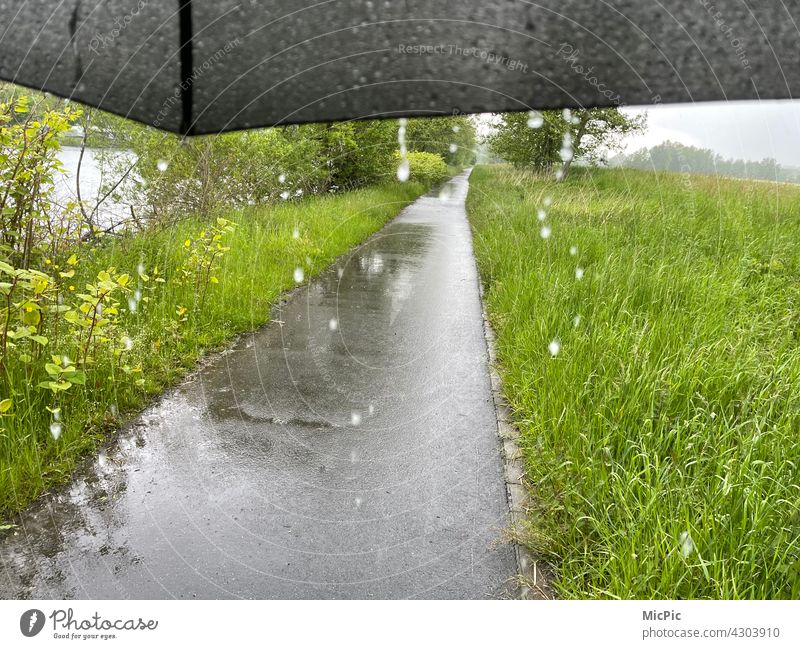 Regen tropft von einem Schirm - Regenwetter Tropfen grau Spaziergang sattes grün Wiese Wege & Pfade Natur Regentropfen nass Wassertropfen schlechtes Wetter