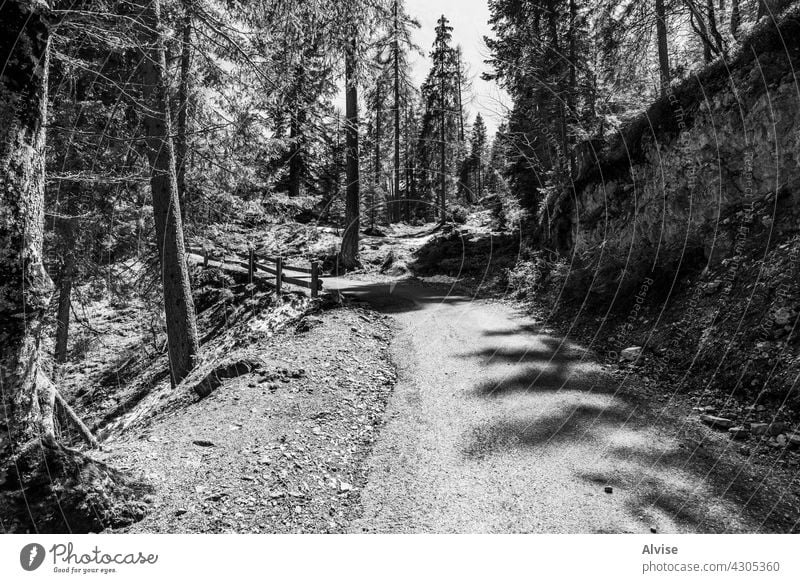 2021 05 08 Cortina bewaldete Straße Wälder Berge u. Gebirge Natur Landschaft Dolomiten Italien reisen malerisch im Freien grün Europa schön Wald Ansicht
