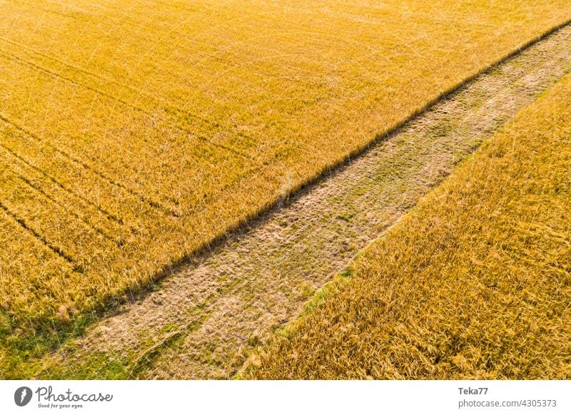 Der Acker acker Landwirtschaft landwirt weizen weizenfeld weizenfelder Ackerbau ackerland gelb