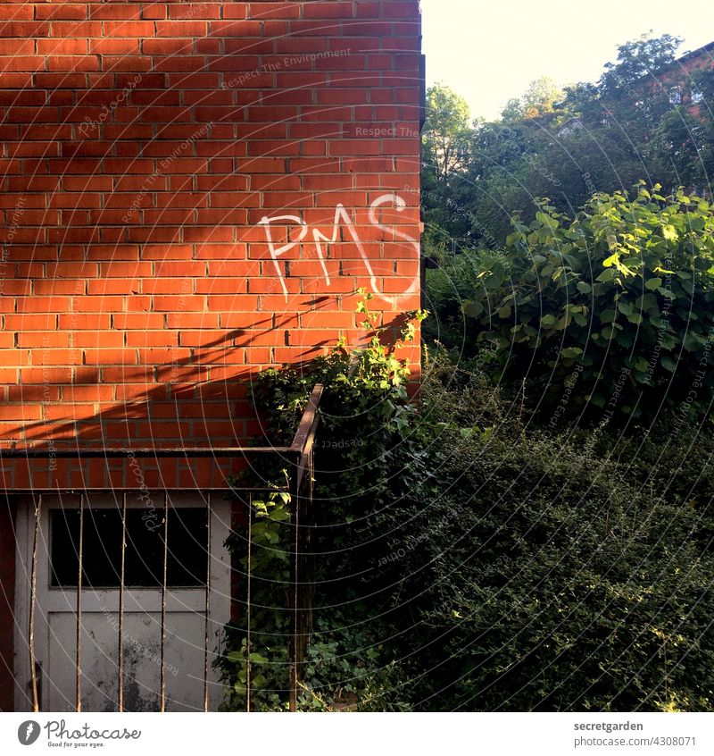 PMS wie.... pms Graffiti Wand Hauswand Fassade sonnig Mauer Außenaufnahme Menschenleer Gebäude Farbfoto trist Architektur Kellertür Gebüsch Sommer Frauenpower
