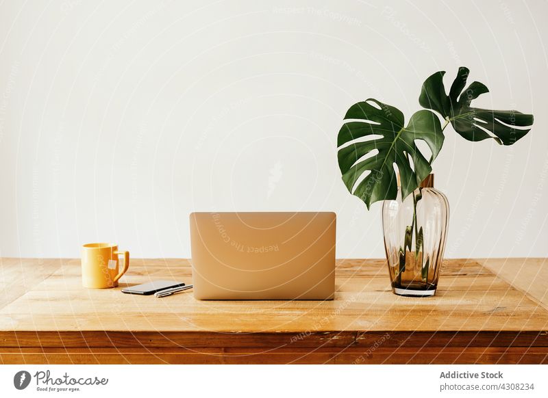Gadgets und Vase mit Pflanze auf dem Tisch Apparatur Arbeitsplatz Tasse Laptop Smartphone hölzern Schreibtisch Becher trinken heimwärts Innenbereich modern