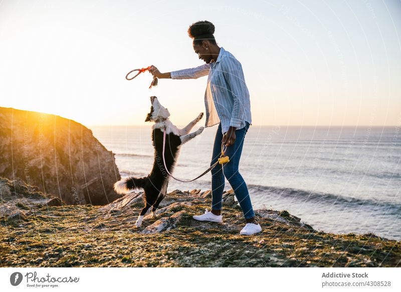 Schwarze Frau spielt mit Hund am Strand spielen Sonnenuntergang Spielzeug fangen Zusammensein Besitzer Haustier Tier Begleiter Eckzahn MEER Reinrassig
