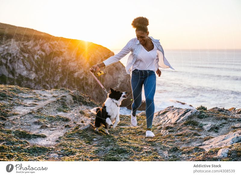 Schwarze Frau läuft mit Hund am Strand Sonnenuntergang laufen spielen Zusammensein Besitzer Haustier heiter Tier Begleiter Eckzahn MEER Reinrassig Lächeln