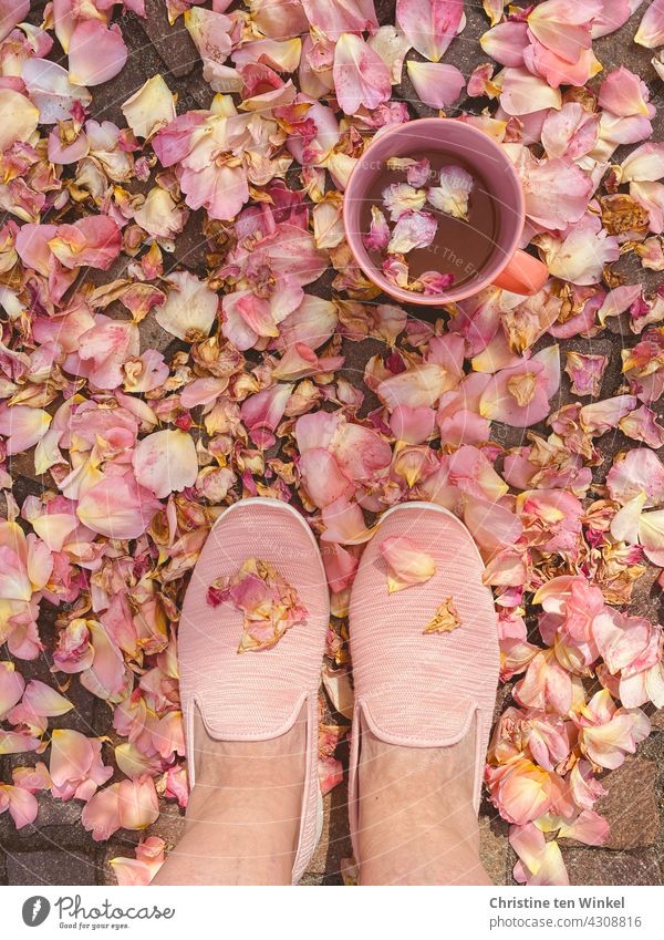 Füße in rosa Schuhen stehen auf rosa Rosenblättern vor einem Becher mit Kräutertee dekoriert mit Blütenblättern Teebecher kitschig mädchenfarben Blick von oben