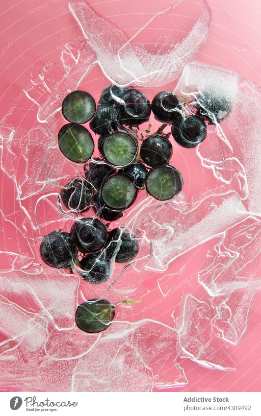 Schwarze Weintraube und Eis auf rosa Hintergrund Traube Frucht frisch natürlich Lebensmittel organisch reif Gesundheit Beeren lecker farbenfroh Farbe