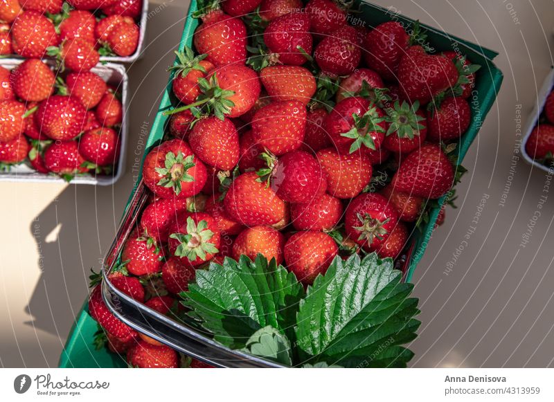 Makro von frischen Erdbeeren Beeren Sommer erdbeeren reif lecker Ernährung geschmackvoll Lebensmittel-Flatlay Diät rot süß Bauernhof Kommissionierung nahrhaft