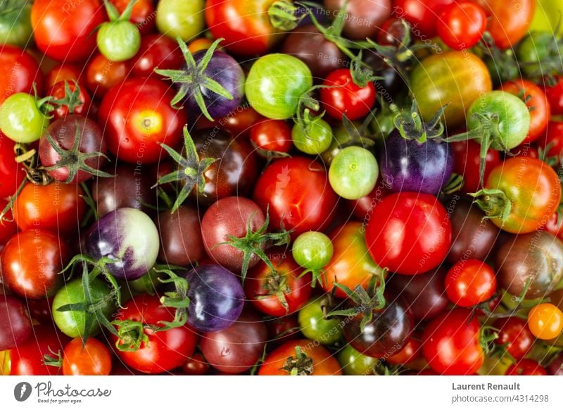 Satz bunte Kirschtomaten roh Ackerbau Hintergrund Kirsche Farben Ernte Diät Lebensmittel Sammeln Gesundheit Bestandteil organisch rot Kulisse Tomate Tomaten