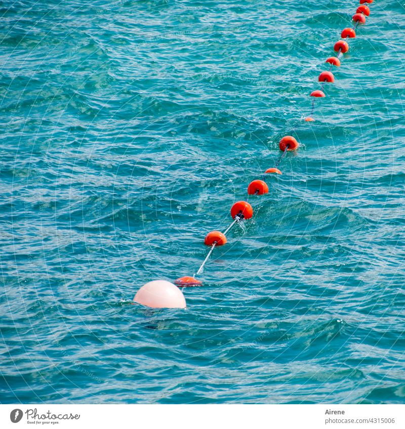 das dicke Ende Boje Linie begrenzen maritim blau rot Wasser Schwimmen & Baden Trennung Zeichen Wellen Kette Sperrkette Absperrung weiß rund sommerlich leuchtend