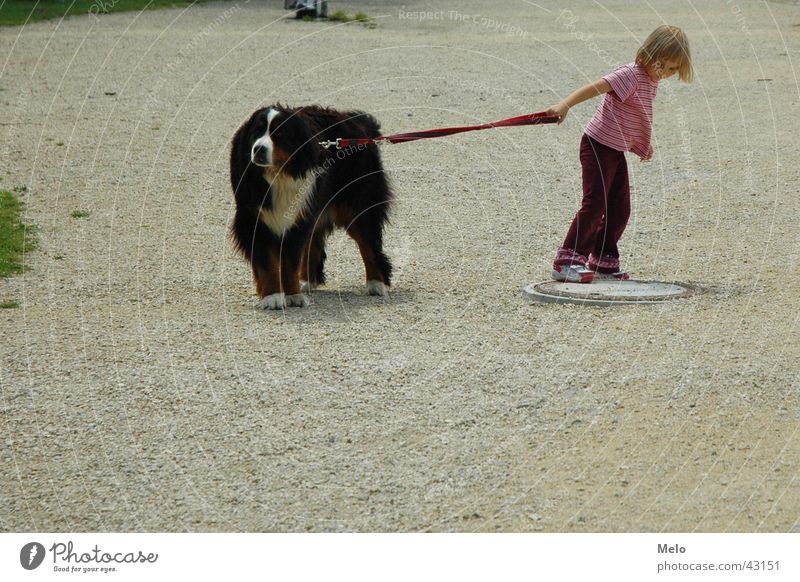the other way Hund Mädchen Spaziergang Zerreißen Kind Frau Seil ziehen fight
