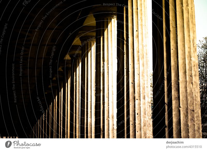 Die Säulen der Alten Nationalgalerie in  Berlin , im Sonnenlicht. Architektur Gebäude Bauwerk Außenaufnahme Sehenswürdigkeit historisch Menschenleer Farbfoto
